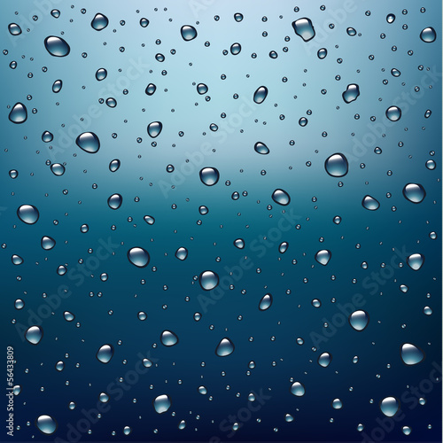 Rainy window