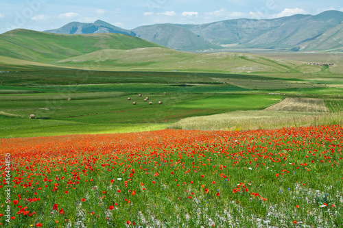 Landscape of the plain of Castelluccio, in Italy