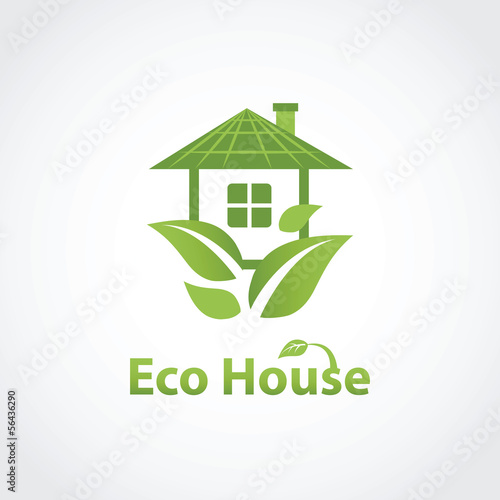 Green eco house