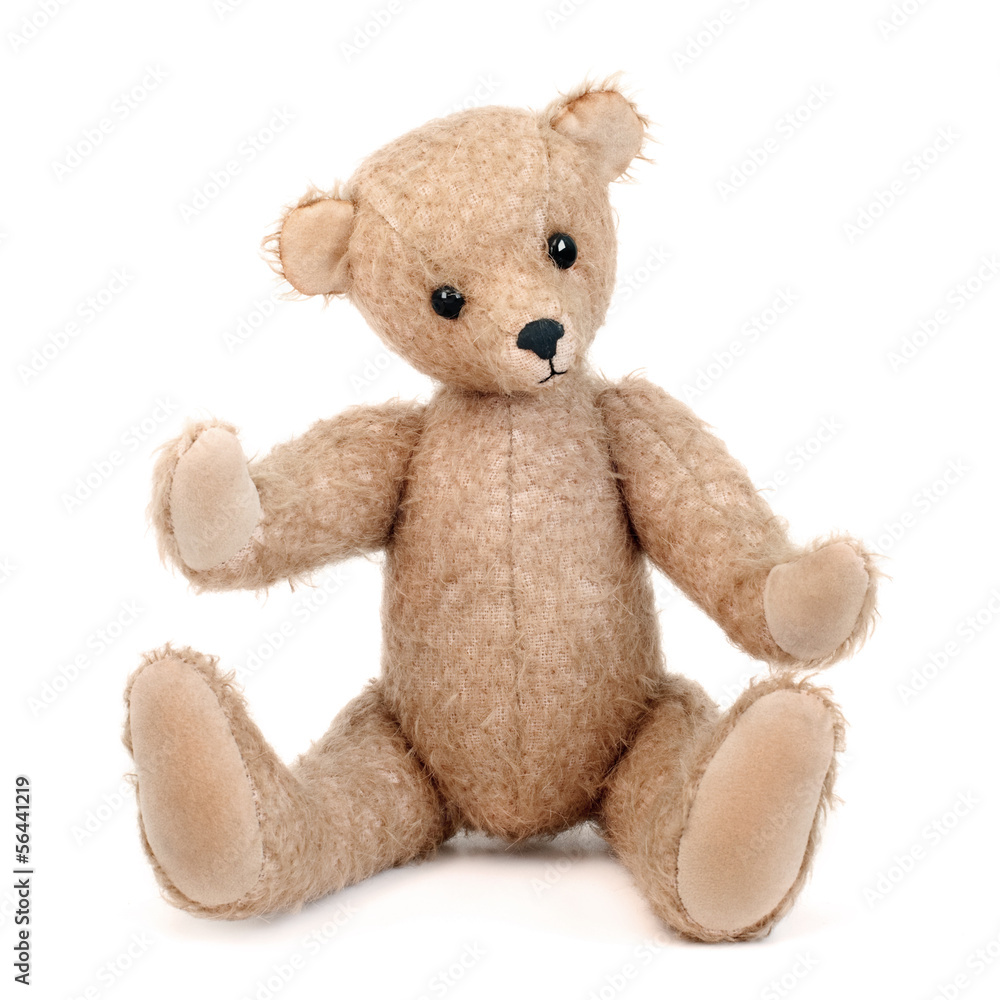 Teddy bear