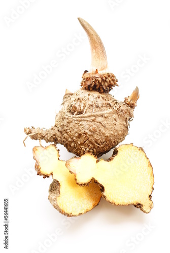 Konjac, Elephant yam, Stanley s water-tub