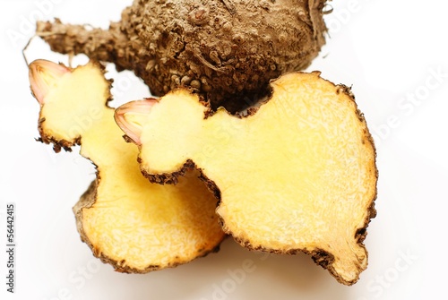 Konjac, Elephant yam, Stanley s water-tub