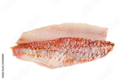 Fotografia Red mullet