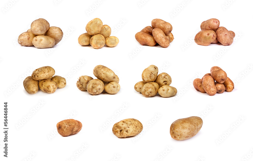 set of potatoes isolated on white set of potatoes isolated on white