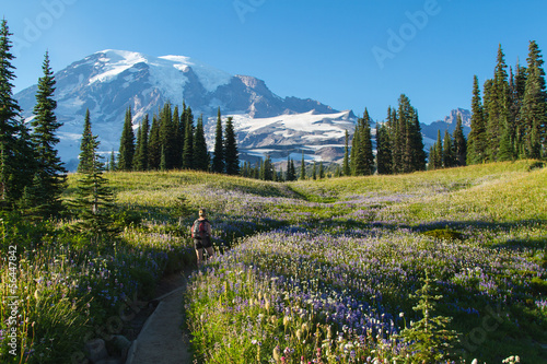 HIking Mount Rainier