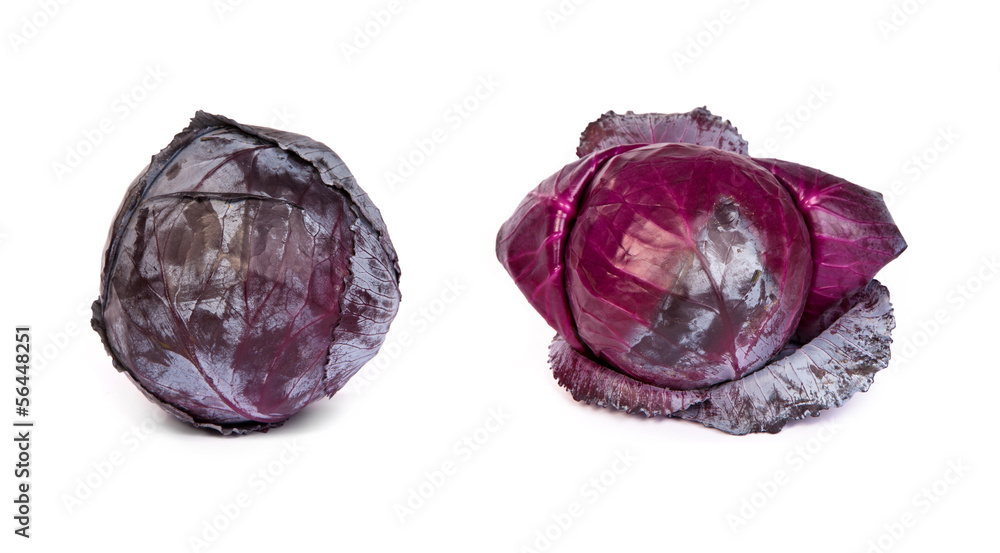 set of Red cabbage on white background. set of Red cabbage on white background.