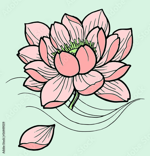 fiore loto rosa