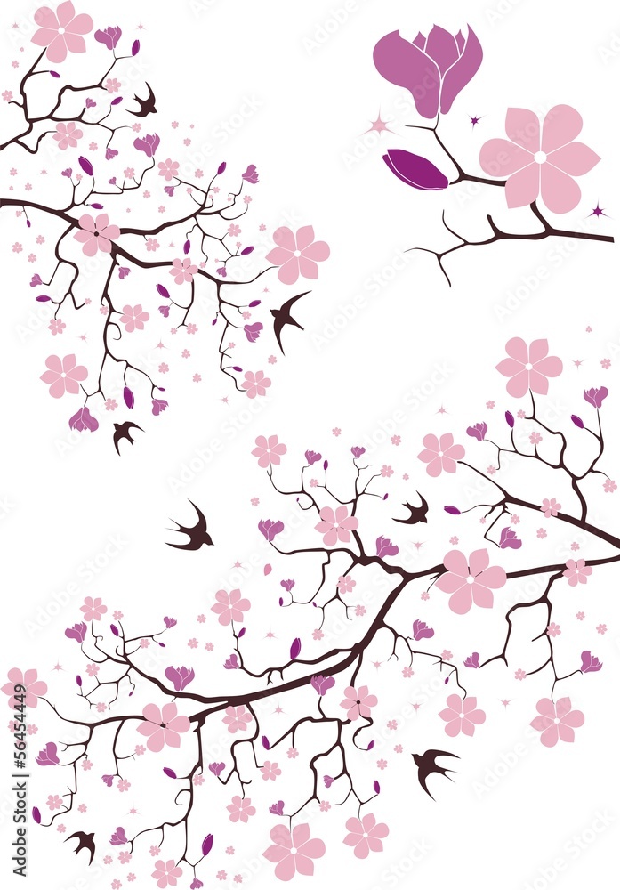 Fototapeta premium Magnolia