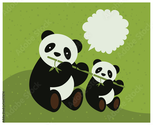 Fototapeta Naklejka Na Ścianę i Meble -  Two pandas. Vector illustration.