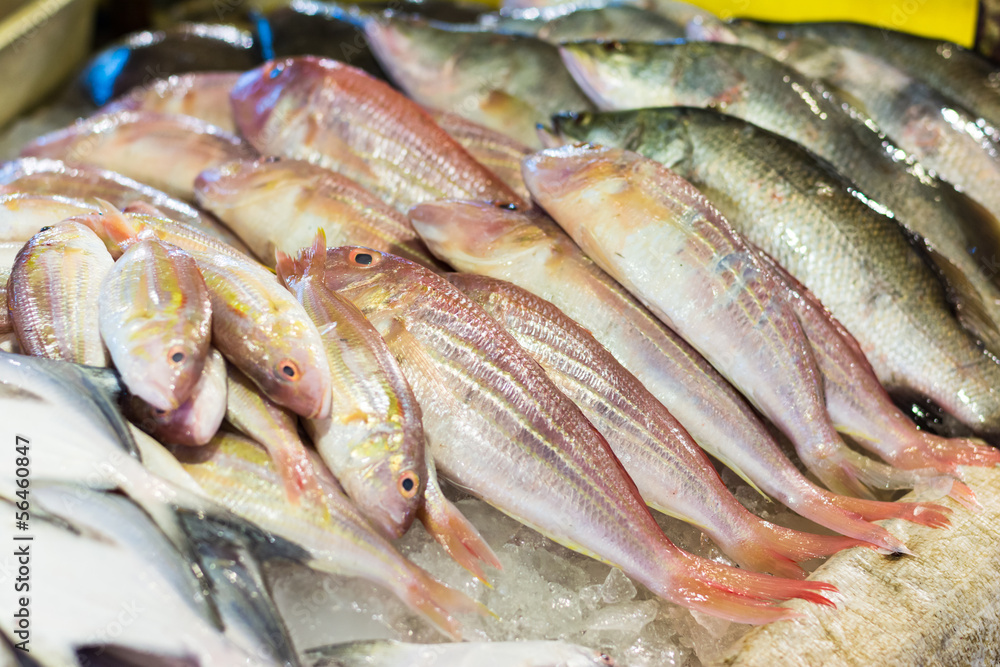 sea bass and bream fresh fish