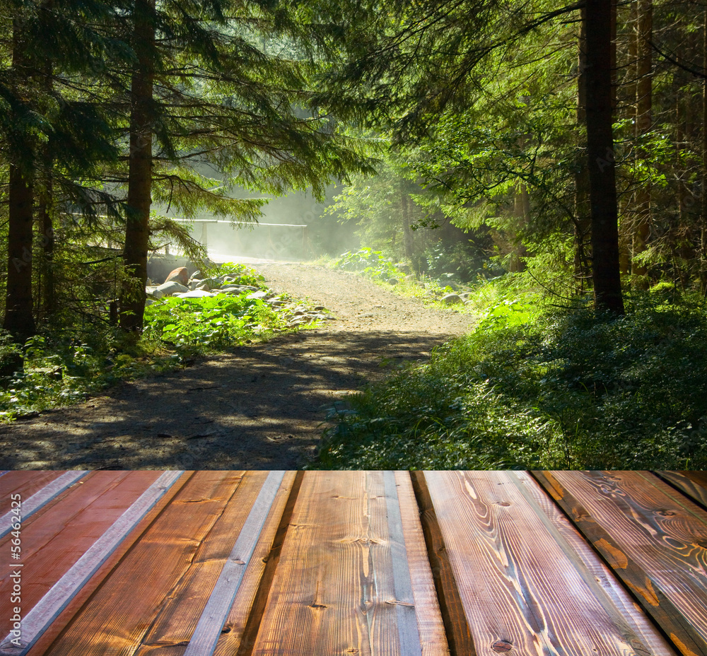 Beautiful sunlight in the autumn forest and wood planks floor