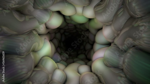 Passing through an endless organic tunnel