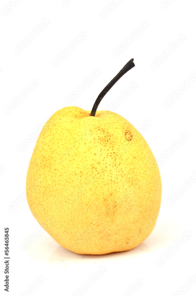 Single pear on white background