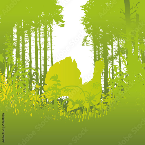 Auerhahn im Unterholz