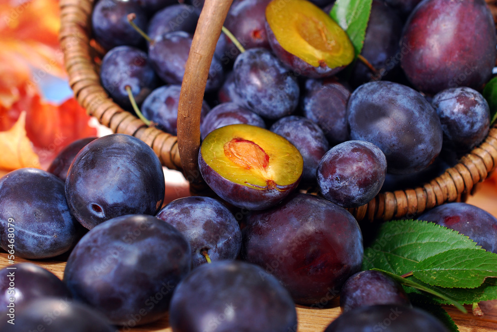 Obraz premium fresh plums in the basket