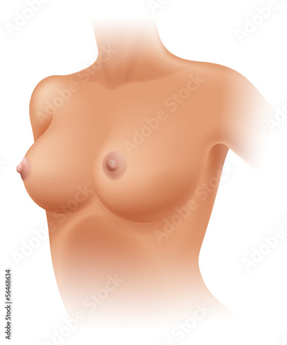 Human Breast