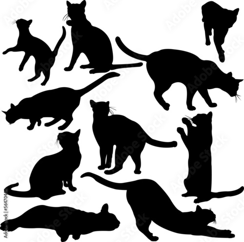Cats silhouette collection - vector