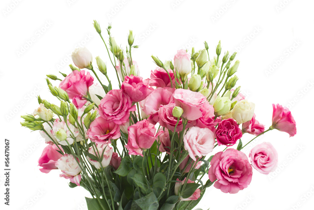 bouquet of pink eustoma flowers bouquet of pink eustoma flowers