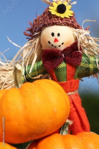 Close-up of pumpkin and cute scarecrow.