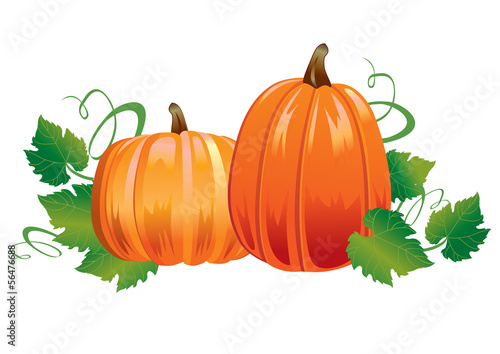 Two pumpkins