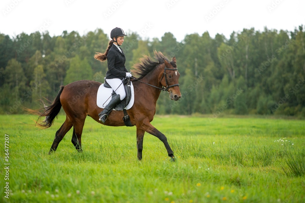 Young girl riding her brown horse outdoors Young girl riding her brown horse outdoors