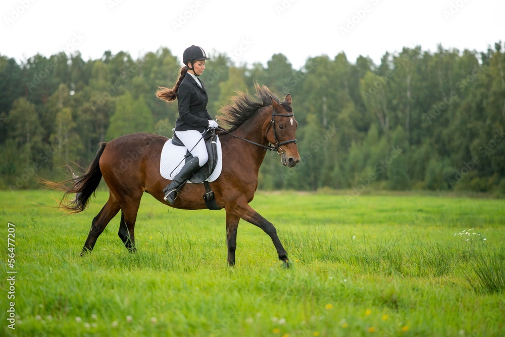 Young girl riding her brown horse outdoors