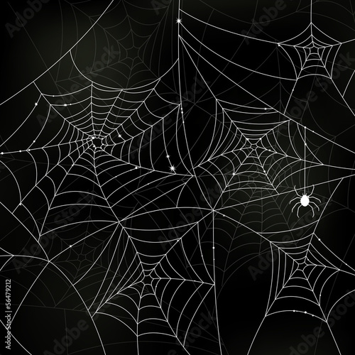 Vector Illustration of Scary Spider Webs
