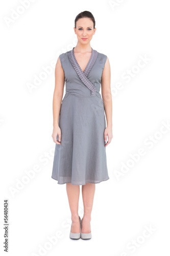 Elegant brunette in classy dress posing