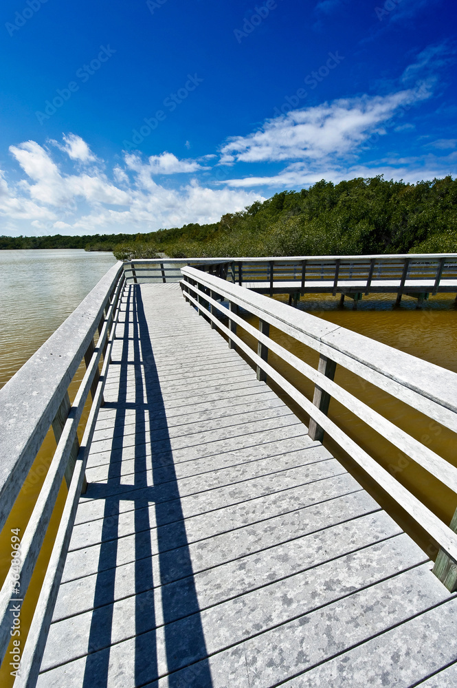 boardwalk through the everglades boardwalk through the everglades