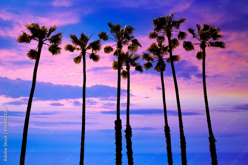 Naklejka premium California palm trees sunset with colorful sky