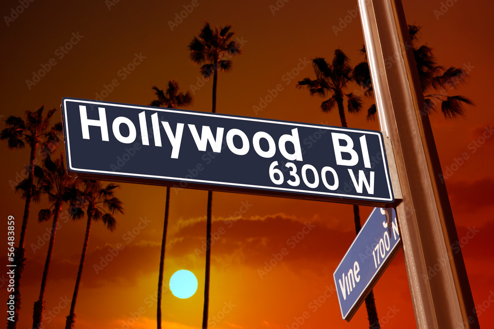 Obraz premium Hollywood Boulevard z ilustracją znaku winorośli na palmach