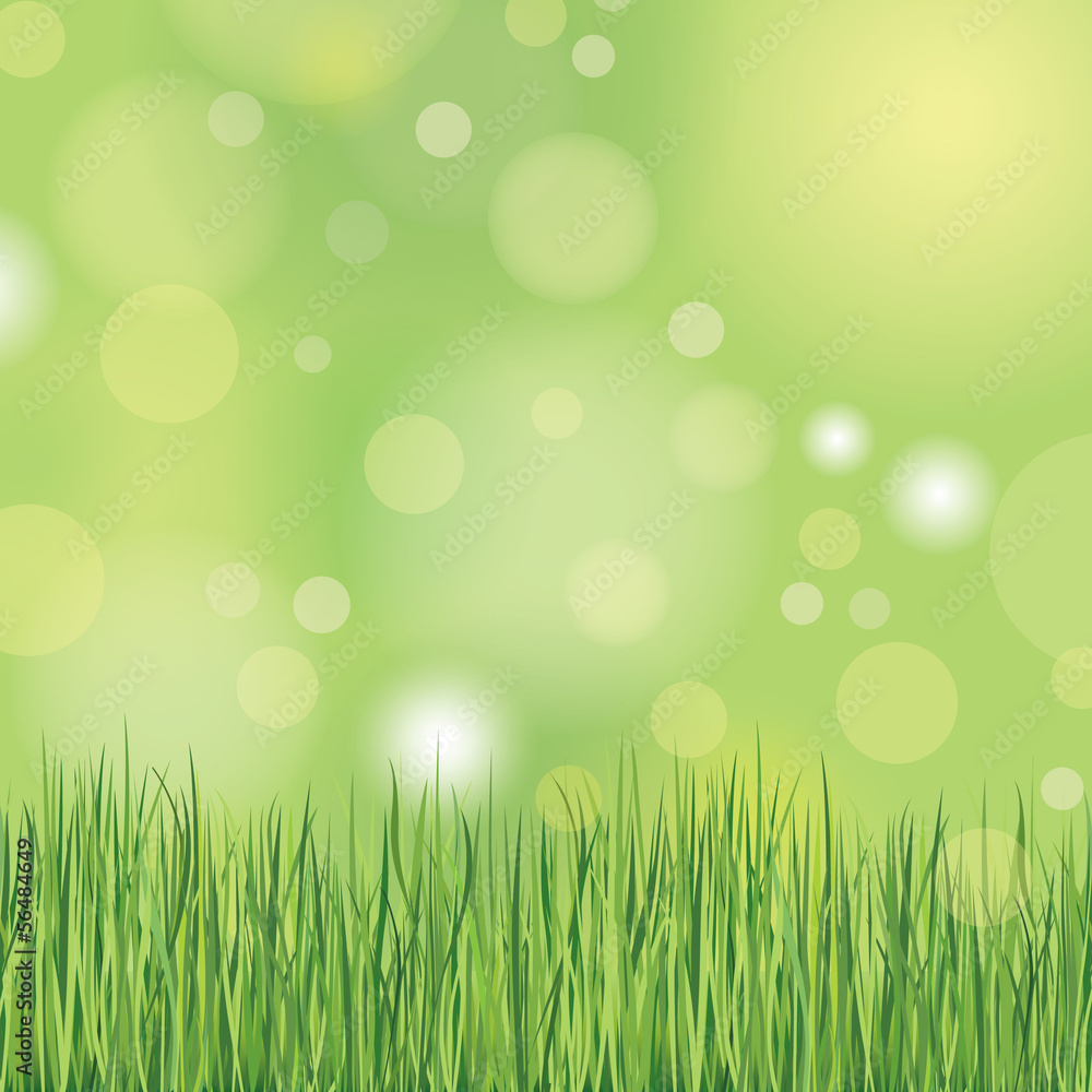 Nature background with grass.