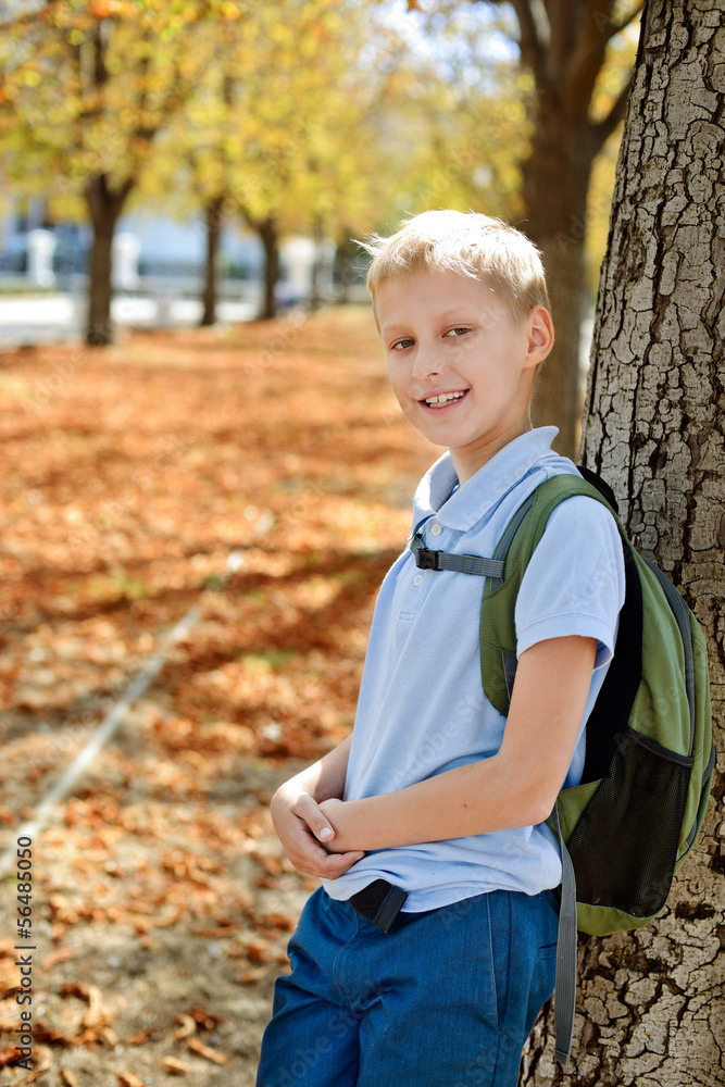 schoolboy in fall schoolboy in fall
