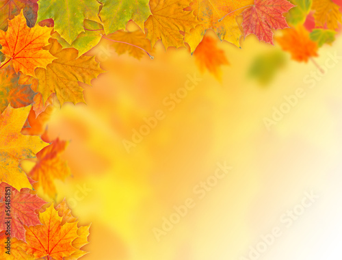 Herbstlicher Hintergrund