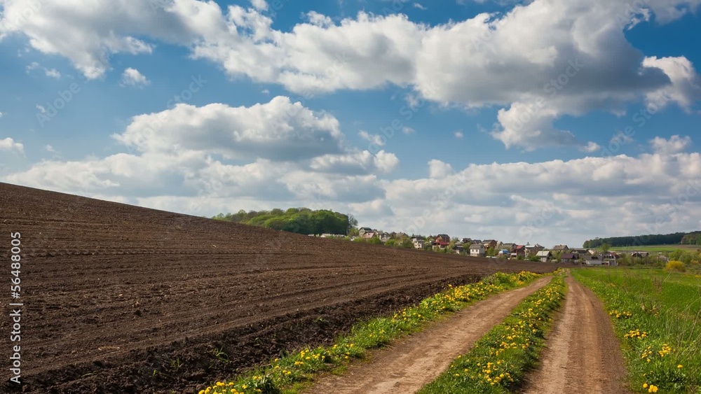 Sunny day in the field with blue sky. Sunny day in the field with blue sky.