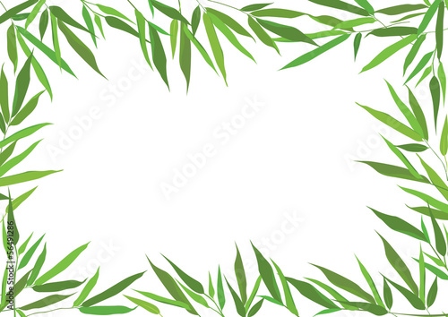 Fototapeta Naklejka Na Ścianę i Meble -  bamboo leaves frame. vector floral borde