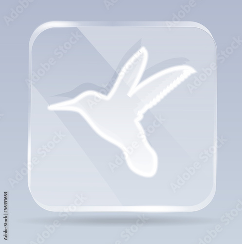 glass colibri icon