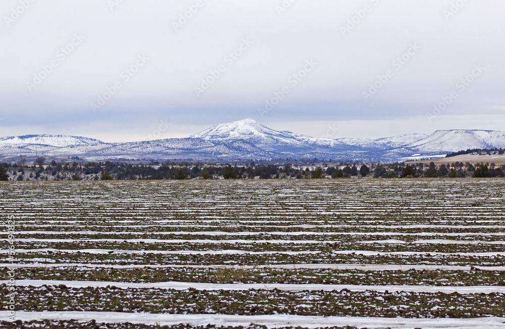 Naklejka premium Snow in newly plowed fields with snowy mountains in background