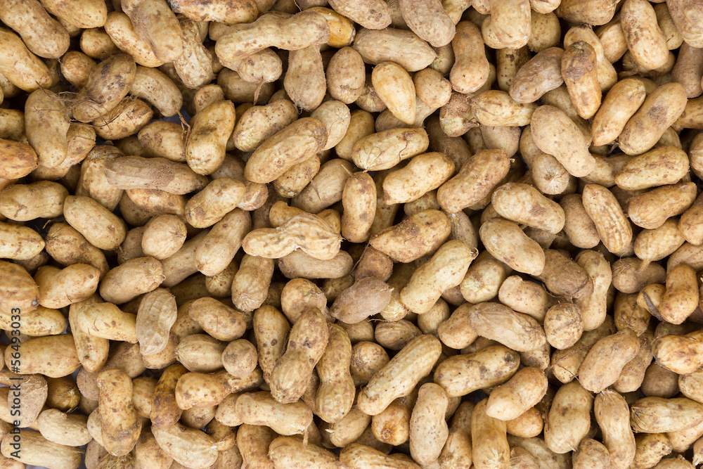 Peanuts in their shell textured Peanuts in their shell textured