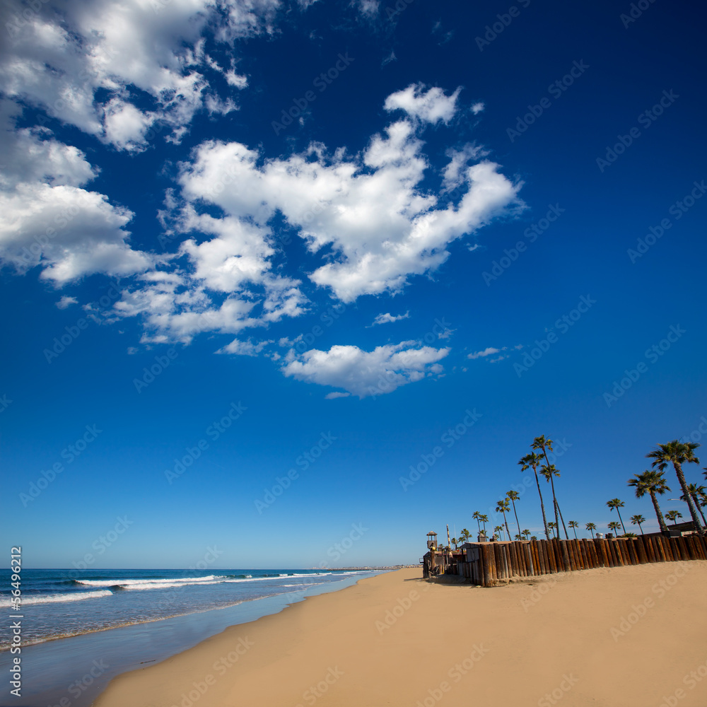 Naklejka premium Newport beach in California with palm trees