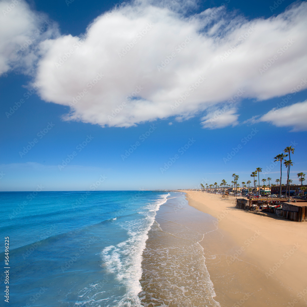 Fototapeta premium Newport beach in California with palm trees
