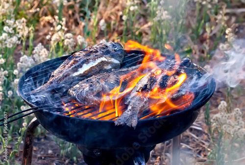 Sea Bream Fish Grilling On BBQ