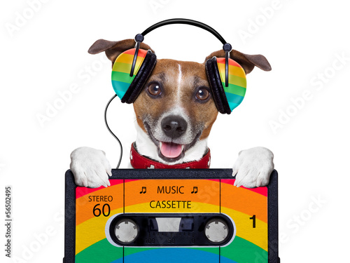 Photography music dog