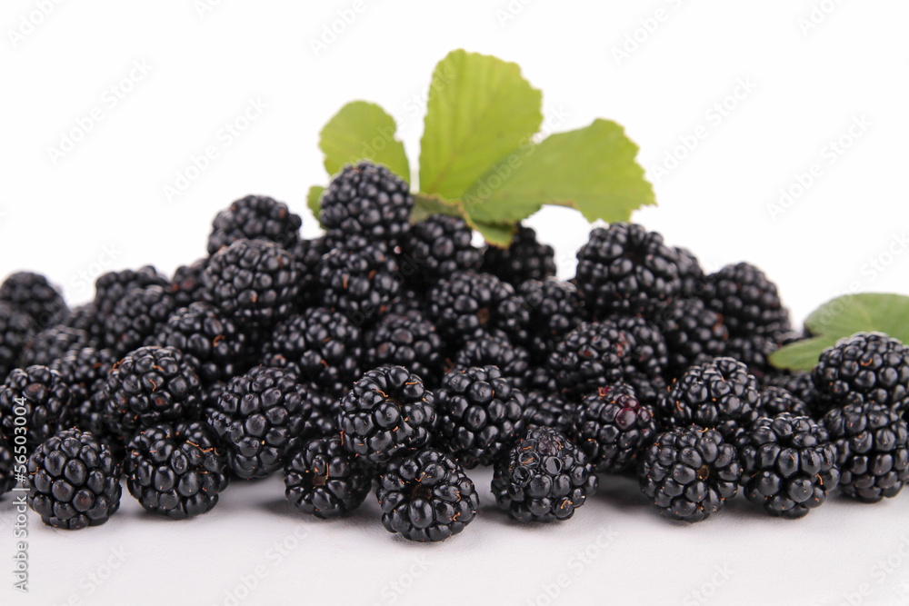 isolated blackberries isolated blackberries