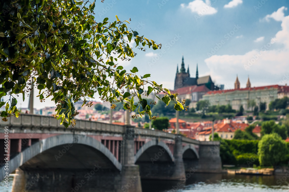 Landscape of Prague