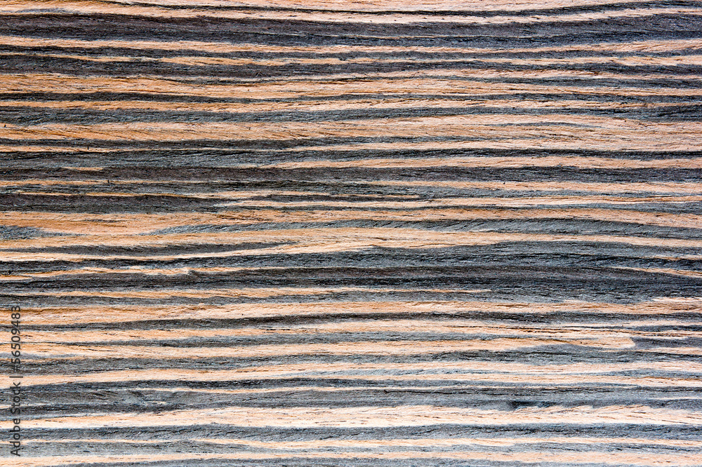 Wood texture for your background Wood texture for your background