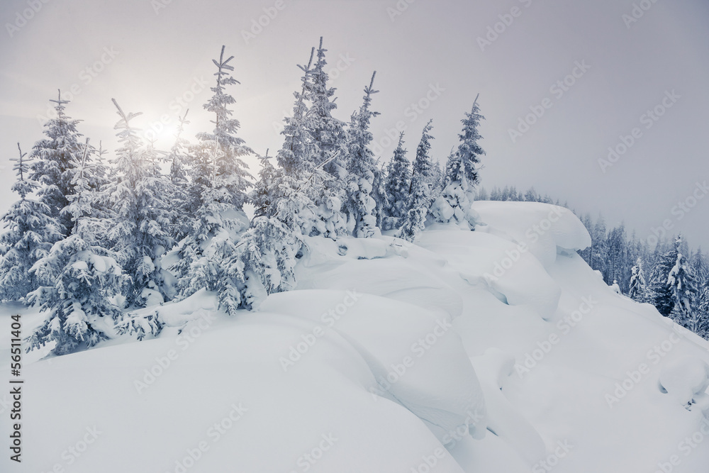 Naklejka premium winter