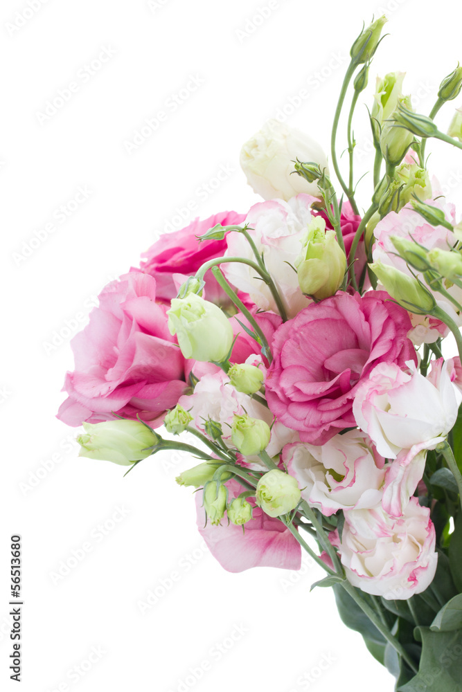 bunch of  pink eustoma flowers