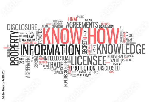 Word Cloud "Know How"