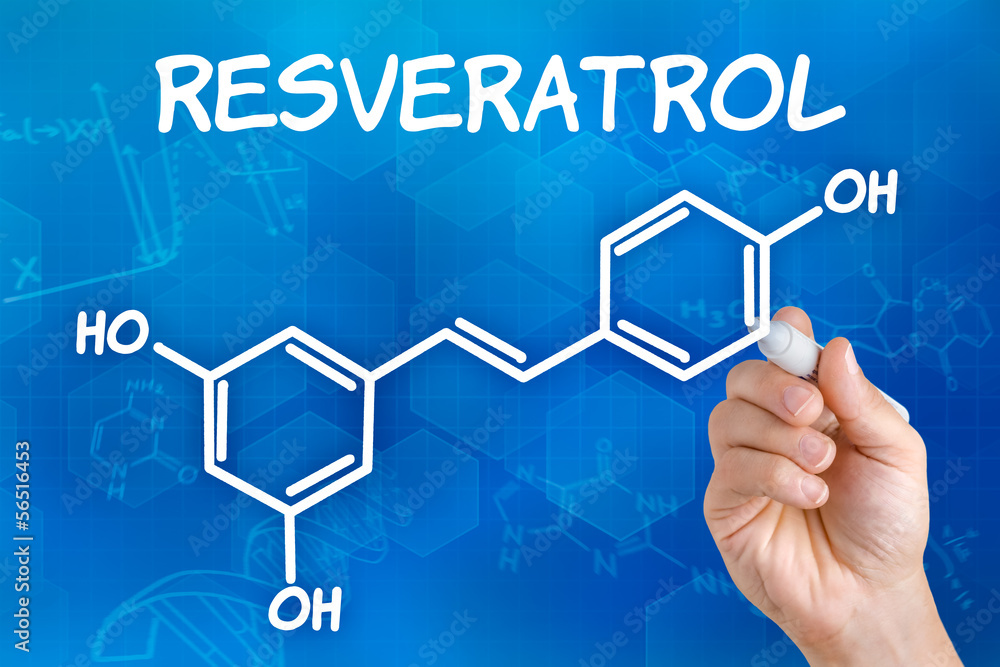 Hand zeichnet chemische Strukturformel von Resveratrol Hand zeichnet chemische Strukturformel von Resveratrol
